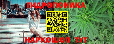 ГАЛЛЮЦИНОГЕННЫЕ ГРИБЫ Бузулук