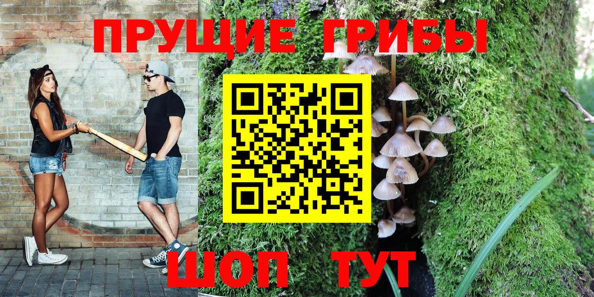 Переславль-Залесский  Галлюциногенные грибы Psilocybine cubensis  Вход с VPN 