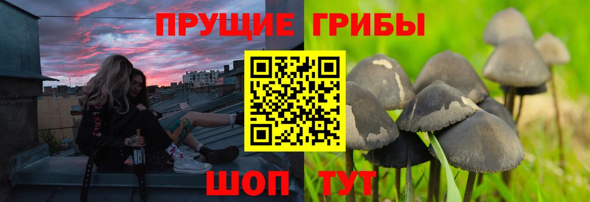 Галлюциногенные грибы Magic Shrooms Переславль-Залесский